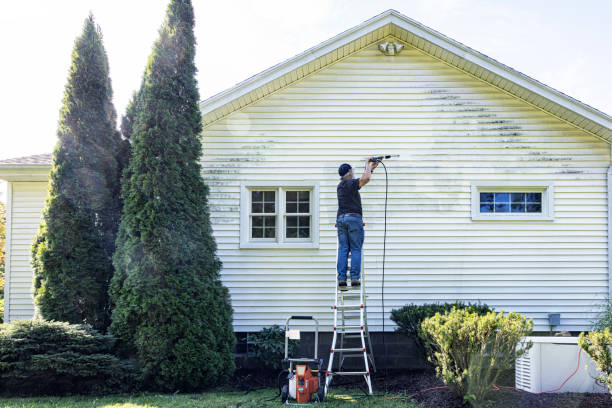 Best Pressure Washing Siding  in Farrell, PA